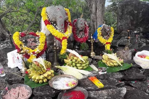 deepavali celebration